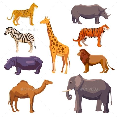 Africa animal decorative set with leopard zebra hippo giraffe camel elephant lion tiger rhino isolated vector illustration. Editab Camels Illustration, Animal Templates, Africa Animals, Decorative Set, Big Animals, Wildlife Animals, African Animals, Animal Stickers, Animal Birthday