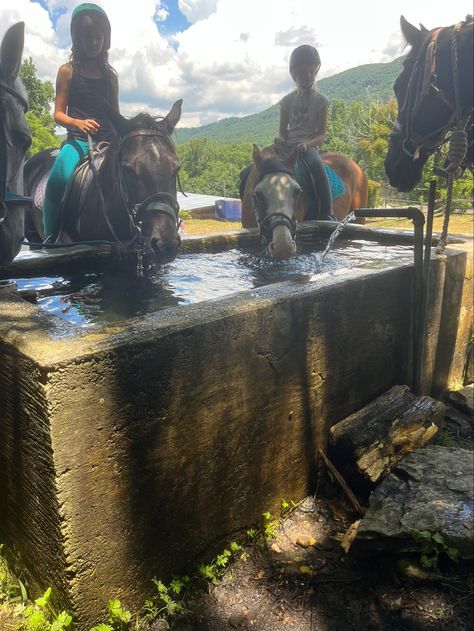 #horse #campcounselor Camping With Horses, Camp America, Sleepaway Camp, Horse Camp, Free Rein, Camp Vibes, Camp Counselor, Horse Aesthetic, Dream Summer