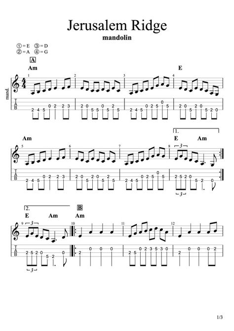 How To Play Jerusalem Ridge On Mandolin - Guitar Lessons by BrianGuitar Lessons by Brian Muscle Shoals Sound Studio, Mandolin Lessons, Easy Sheet Music, Pentatonic Scale, Blues Scale, Sound Studio, Steel Guitar, All About Music, Mandolin