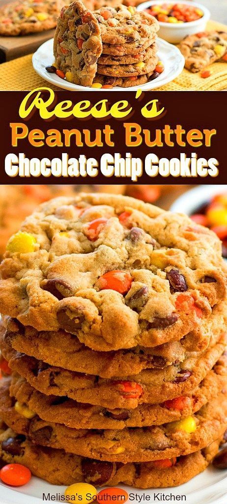 Chip Recipes, Rock Recipes, Peanut Butter Chocolate Chip Cookies, Chocolate Crunch, Treats Recipes, Ginger Snap, Reeses Peanut Butter, Peanut Butter Chocolate Chip, Peanut Butter Chocolate