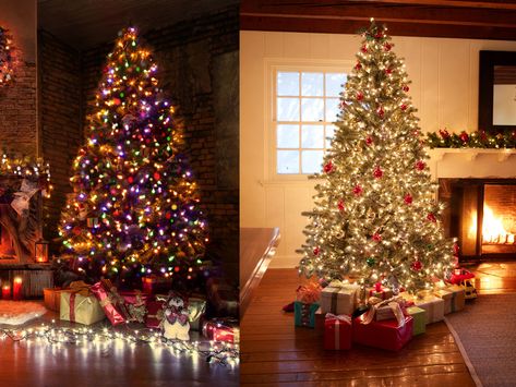 White Or Colored Christmas Tree Lights, Christmas With Colored Lights, Multicolor Christmas Tree Lights, Mixed Lights Christmas Tree, Colored And White Lights On Tree, Christmas Tree With White And Colored Lights, Traditional Christmas Tree With Colored Lights, Coloured Lights Christmas Tree, Coloured Christmas Tree Lights