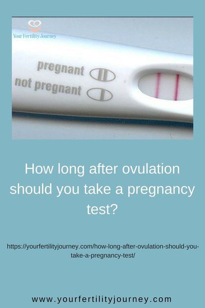 When should you take a pregnancy test? #ovulation, #BFP, #BFN, #TTC, #tryingtoconceive, #getpregnant. http://www.tailwindapp.com?utm_source=pinterest&utm_medium=twpin) Best Pregnancy Test, Ovulation Tracking, Fertility Nutrition, Ways To Get Pregnant, Natural Fertility, Get Pregnant Fast, Trying To Conceive, Pregnancy Test, Healthy Babies