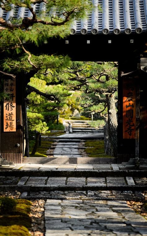 Japanese Style House, Japanese Temple, Asian Architecture, Asian Garden, Japan Culture, Japanese Architecture, Japanese Aesthetic, Kyoto Japan, Japanese House