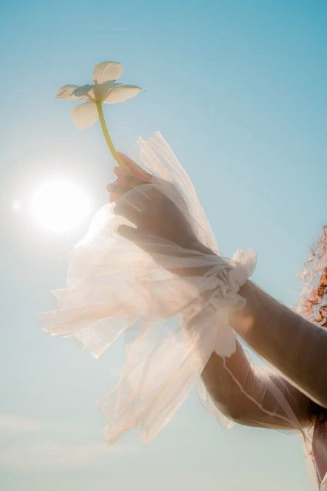 Outstretched Arms Photos, Download The BEST Free Outstretched Arms Stock Photos & HD Images Eight Limbs Of Yoga, Image Nature, Spiritual Enlightenment, Summer Solstice, Adobe Photoshop Lightroom, Ancient Wisdom, Photoshop Lightroom, Belle Epoque, Creative Expressions