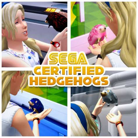 Mod The Sims: SEGA Certified Hedgehogs by woopa20 • Sims 4 Downloads Sims 4 Cc Objects, Sims Pets, First Pet, Sims 4 Studio, Sims 4 Expansions, Sims 4 Gameplay, Sims Games, Sims 4 Downloads, Sims 4 Update