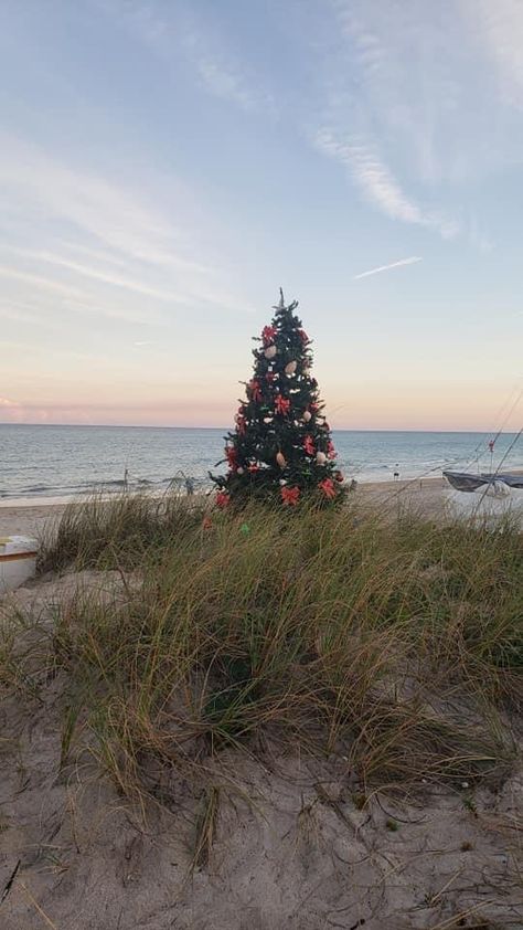 Beachy Christmas Wallpaper, Christmas On Beach, Tsitp Christmas, Christmas In Florida Aesthetic, Beach Christmas Wallpaper, Costal Christmas Aesthetic, Aussie Christmas Wallpaper, Florida Christmas Aesthetic, Summer Christmas Wallpaper