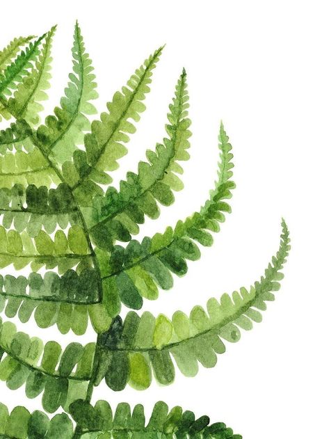 Painting Green, Modern Botanical, Wall Art Set Of 2, Fern Leaf, Forest Theme, Watercolor Flower Art, Art Set Of 2, Feminine Tattoos, Wall Art Set