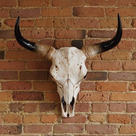 Bison Skull Decor, Bull Skull Tattoos, Montana Cabin, Cow Skull Decor, Cow Skull Art, Bison Skull, Bull Horns, Cowboy Theme, Bull Head