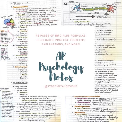 48 scanned pages of handwritten AP Psychology notes, including a table of contents, diagrams, illustrations, and highlights! These notes were taken during the 2020-21 school year, so all information is current and corresponds with each unit of the AP course. Also equivalent to an intro-level college psychology course (eg. Psychology I, Psychology 101, or Intro to Psychology). Check out my shop to see more products in my AP Notes collection! Introduction To Psychology Notes, Ap Psychology Notes, Ap Notes, College Psychology, Psychology Course, Intro To Psychology, Psychology A Level, Introduction To Psychology, Psychology 101