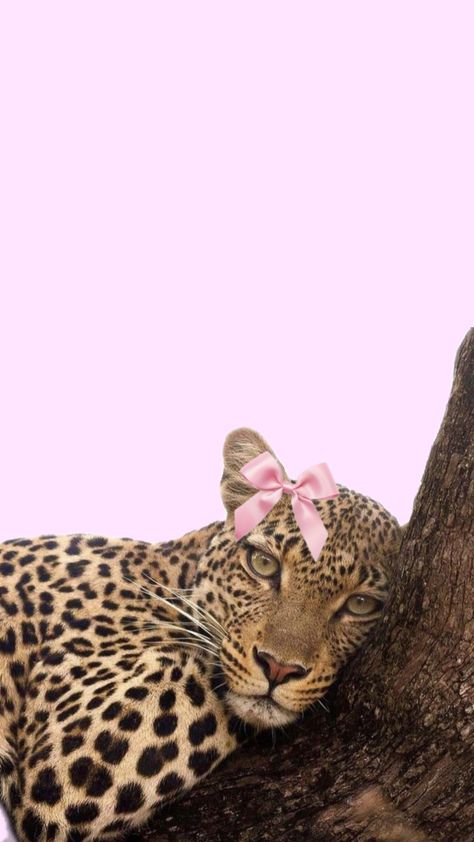 Pink Cheetah Wallpaper, Pink Leopard Wallpaper, Wallpaper Leopard, Glamour Wallpaper, Cheetah Wallpaper, Cheetah Print Wallpaper, Pink Glamour, Grid Wallpaper, Cute Home Screen Wallpaper