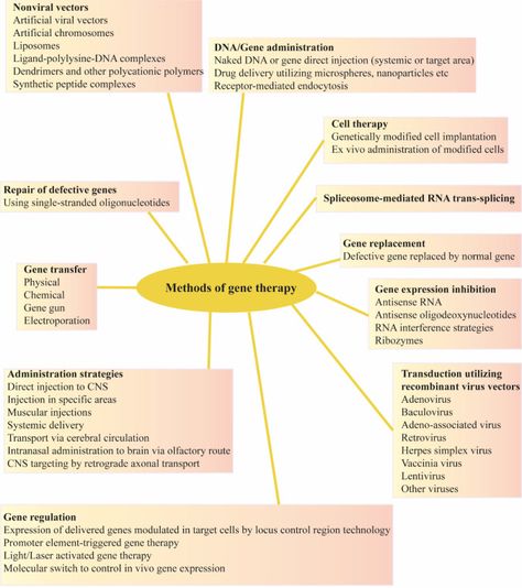 Gene Therapy Approach with an Emphasis on Growth Factors: Theoretical and Clinical Outcomes in Neurodegenerative Diseases. Gene Therapy, Gene Expression, Cell Therapy, Science Journal, Growth Factor, Genetically Modified, Emphasis, Disease, Physics