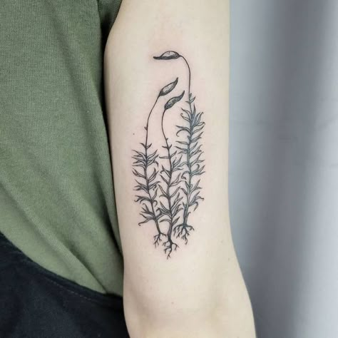 Plant Anatomy Tattoo, Moss Tattoo Design, Plant Roots Tattoo, Biologist Tattoo, Lichen Tattoo, Mycelium Tattoo, Sprout Tattoo, Moss Tattoo, Plant Tattoos