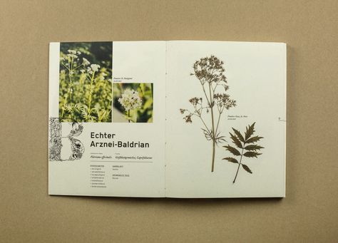 Botanical Book Design, Cottagecore Graphic Design, Diy Herbarium Book, Botanical Book Cover, Herbarium Aesthetic, Herbarium Illustration, Herbarium Sheet, Indesign Inspiration, Indesign Layout