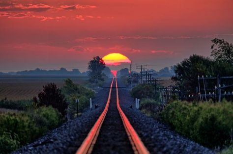 My Dad Waits Every Year For The Day The Sun Rises Just Right And Reflects Along The Railroad Tracks, Today Was That Day | Bored Panda Satisfying Photos, Lonely Road, Perfectly Timed Photos, Sun Rise, Train Tracks, Beautiful Lights, Beautiful Sunset, Sunrise Sunset, Railroad Tracks