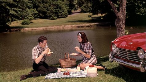 1960s picnic 60s Couple, Coney Island Baby, 60s Photos, Drinking Wine, The Love Club, The Weather Channel, Young Couple, Old Love, Old Soul