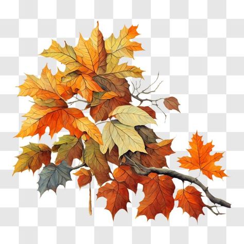 'This image features a branch of maple leaves in vibrant shades of red, orange, yellow, and green. The leaves are gracefully falling from the tree branches, adding to the autumnal atmosphere. There are also smaller leaves scattered on the ground near the base of the branch. Leaves Clipart, Leaf Clipart, Red Orange Yellow, Small Leaf, Maple Leaves, Yellow Leaves, Yellow And Green, Red And Yellow, Tree Branch