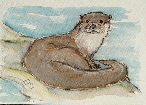 Otter Painting Acrylic Easy, Cartoon Otter Drawing, Sea Otter Drawing Easy, Otter Painting Easy, How To Draw An Otter, Otter Drawing Sketches, Otter Drawing Simple, Watercolour Otter, Otters Drawing