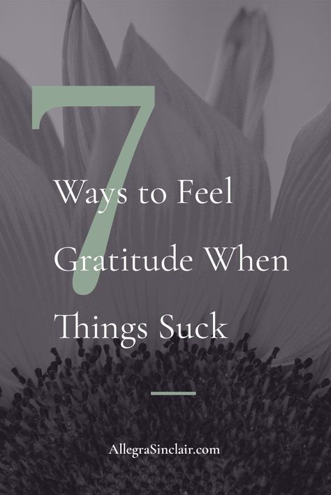 Gratitude is one of the most powerful emotions that you can experience. It connects you to what is really important in your life. And it helps frame your day, your expectations, and your actions. Life is unpredictable and occasionally things suck. Each day we're faced with situations that test our ability to behave with grace and deal with difficulties. It's easy to get angry, scared, or resentful and forget to be grateful for the good things in our lives. #gratitude #podcast Life Is Unpredictable, Womens Bible, How To Develop Confidence, Healing Tips, Get Angry, Gratitude Challenge, Purpose Driven Life, Personal Growth Plan, Highly Sensitive People