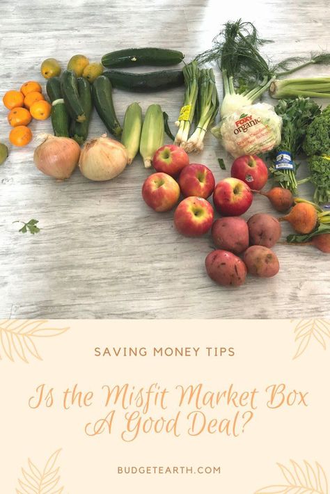 Thinking of trying out the Misfit Market Box in hopes of saving money on groceries? See what we think of this food subscription box here! Misfit Market, Island Of The Misfit Toys, Food Subscription Box, Apple Festival, Save Money On Groceries, Organic Produce, Family Ideas, Mouthwatering Recipes, Fresh Produce