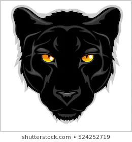 Panther Logo Design, Panther Illustration, Black Panther Logo, Black Panther Face, Black Panther Drawing, Panther Mascot, Black Panther Tattoo, Easy Animal Drawings, Panther Tattoo