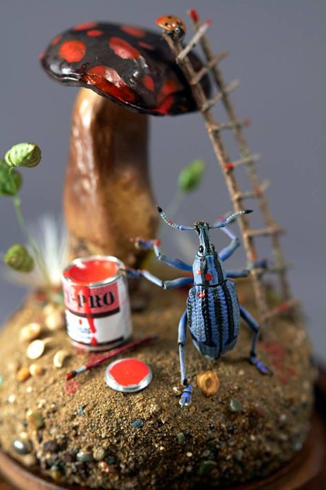 Weevil Painting Mushroom, insect diorama by Lisa Wood Beetle Enclosure, Insect Diorama, Moth Goddess, Weird Sculptures, Bug Pinning, Weird Taxidermy, Insect Pinning, Bug Taxidermy, Taxidermy Animals