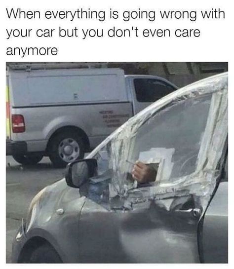 I Just Dont Care, Bad Drivers, In Meme, Memes Of The Day, Fresh Memes, Bones Funny, Funny Posts, Image Quotes, Funny Cute