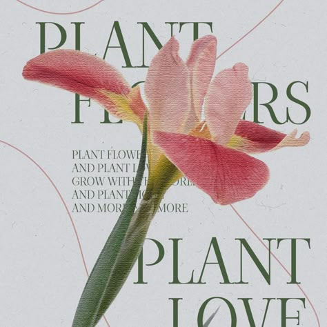 Graphic design poster Plant flowers,plant lov Spring Magazine Design, Botanical Poster Graphic Design, Gardening Poster Design, Florist Catalogue Design, Flower Poster Design Graphics, Garden Party Graphic Design, Floral Typography Design, Graphic Design Plants, Flower Shop Graphic Design