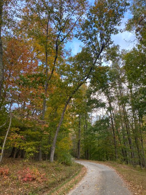 #fall #aesthetic #trees #fallfoilage #country #countryside #nature #granola #tennessee #thesouth Tennessee Countryside Aesthetic, Fall Aesthetic Trees, Tennessee Countryside, Aesthetic Trees, Fall Foilage, Countryside Aesthetic, Black Cat Aesthetic, U.s. States, Life Plan