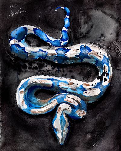 Art Snake, Snake Painting, Snake Gift, Man Pillow, Snake Art, Art Matters, Chalk Pastels, Realistic Art, Cute Animal Drawings