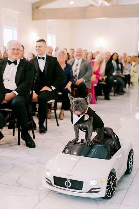 Dog Best Man, Dog Ring Bearer, Sandlewood Manor Wedding, Unique Wedding Ideas French Bulldog Ring Bearer, Ring Bearer Ideas, Seed Photography, Dog Ring Bearer, Southern Charm Wedding, Ring Bearer Dog, Tomball Texas, Outdoor Pavilion, Dog Ring