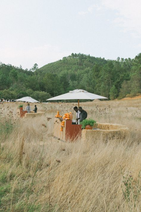 A Contemporary Wedding in South Africa - The Lane Wedding Venues South Africa, Wedding South Africa, Wedding Scenery, Zulu Wedding, South Africa Wedding, Opulent Wedding, Africa Wedding, Courtyard Wedding, Africa Photography