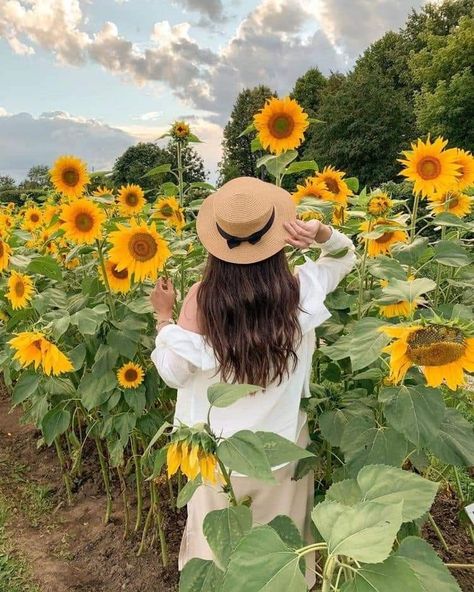 Sunflowers Aesthetic, Summer 2023 Trends, Sunflower Field Pictures, Summer Photo Ideas, Aesthetic Photo Ideas, Sunflower Photography, Ideas For Instagram, Paz Mental, Flowers Aesthetic