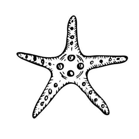 Undersea Drawing, Vector Line Art, Line Art Illustration, Vector Line, Sea Star, Watercolor Clipart, Vector Graphics, Art Illustration, Starfish