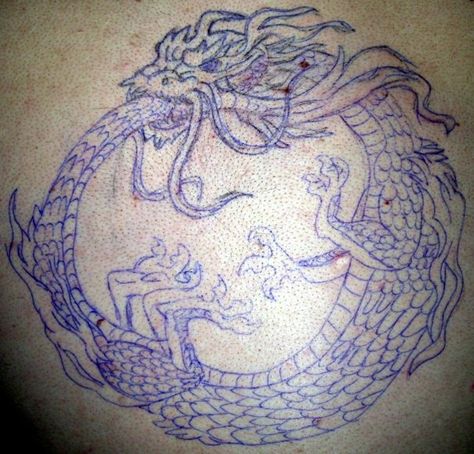 pen drawing on skin, dragon eating tail Pen Drawing On Skin, Dragon Eating Tail, Drawing On Skin, Tail Tattoo, Dragon Wall, Japanese Dragon, Dragon Tattoo, Pen Drawing, Art Work