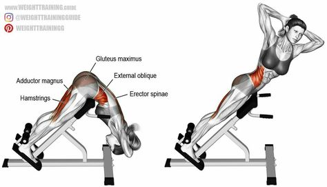 Hyperextension Exercise, Erector Spinae, Gluteus Maximus, Oblique Workout, Compound Exercises, Popular Workouts, Back Exercises, Workout Guide, Lower Body Workout