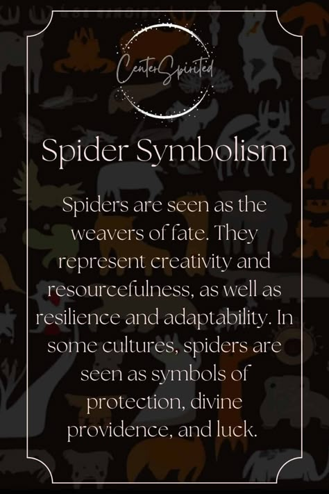 Spider Symbolism - Spiritual Meaning & Cultural Depictions Tarantula Spiritual Meaning, Black Widow Spiritual Meaning, Spider Symbolism Meaning, Spider Spirit Animal Meaning, Black Widow Spider Spiritual Meaning, Spider Familiar, Spider Spiritual Meaning, Spiritual Symbols And Meanings, Spider Meaning