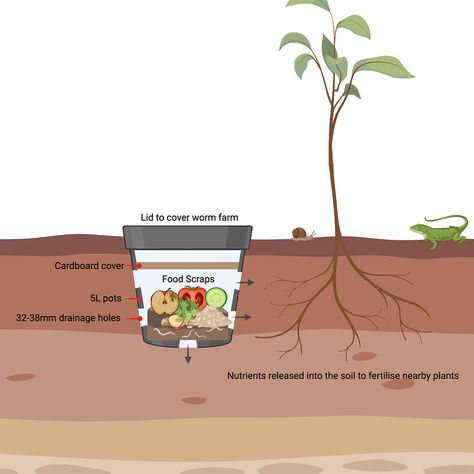 In Ground Vermicomposting, Compost With Worms, In Ground Worm Compost, In Ground Composting, In Ground Compost, Diy Worm Farm, Worm Farm Diy, Living Off Grid, Compost Mulch