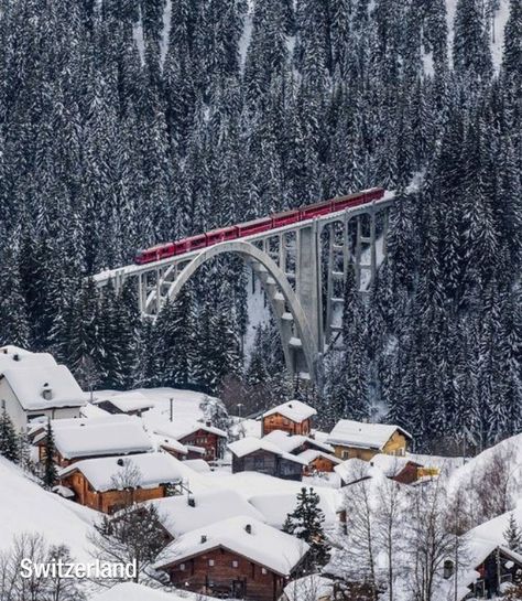 Switzerland Glacier Express, St Moritz, Train Pictures, Winter Scenery, Train Tracks, A Bridge, Train Rides, Travel Tours, Train Travel