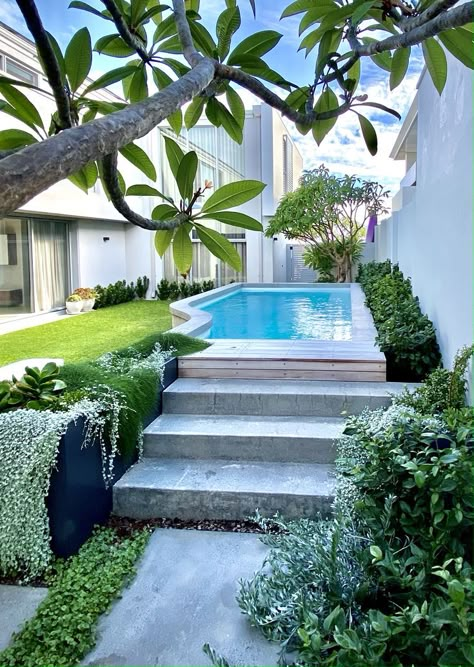 Pool And Garden Design, Raised Pools, Pool And Garden, Tropical Backyard, Pool Landscape Design, Wooden Deck, Concrete Pool, Blue Pool, Backyard Pool Landscaping