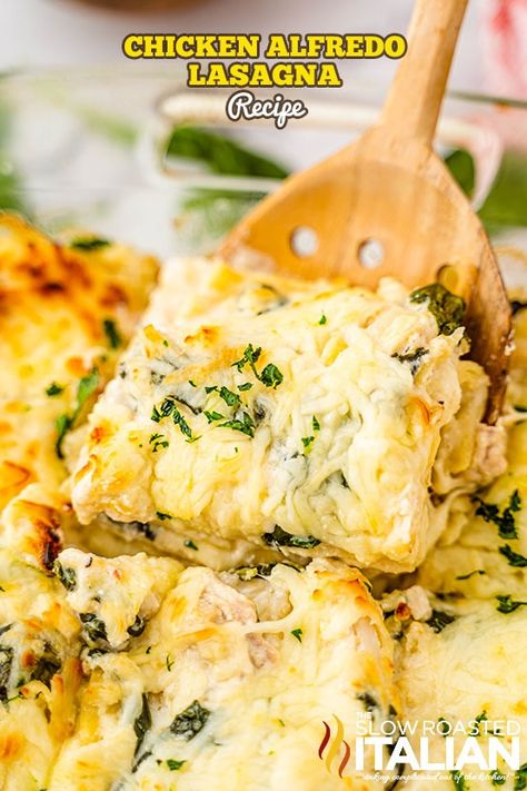 Chicken Alfredo Lasagna - The Slow Roasted Italian