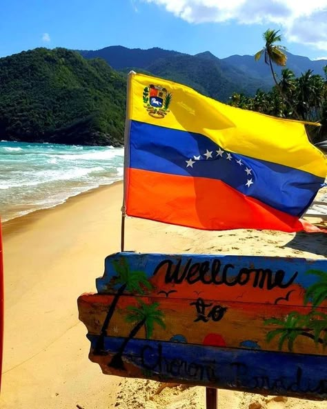 Venezuela Culture, Venezuelan Flag, Venezuela Flag, Dominican Republic Flag, Caribbean Music, Summer Fest, Drinking Around The World, Travel America, World Party