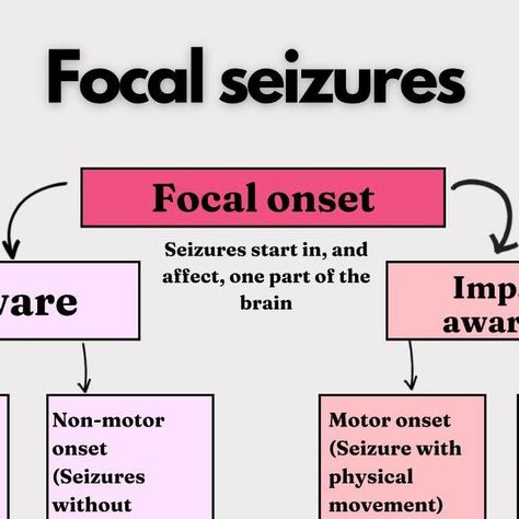 Lauren - Healthcare Education Platform on Instagram: "Hey, future nurses and healthcare professionals. Let's shine a light on focal seizures, also known as partial seizures, and understand their unique characteristics. What are Focal Seizures? Focal seizures originate in a specific area of the brain, affecting one hemisphere. These seizures can be categorised into aware or impaired awareness, with distinct manifestations. 🌟 Aware Focal Seizures: During simple focal seizures, individuals rema Seizures Nursing, Different Types Of Seizures, Focal Seizures, Focal Seizures In Adults, Seizures Quotes, Myoclonic Seizures, Focal Onset Aware Seizures, Non Epileptic Seizures, Seizures Awareness