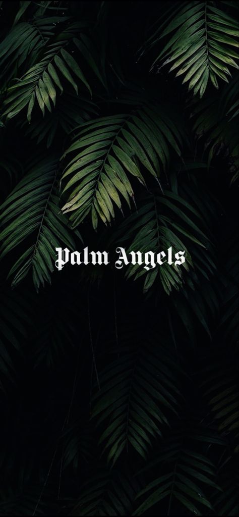 Palm Angles Brand Wallpaper, Palm Angels Wallpaper Iphone, Palm Angels Wallpaper, Hypebeast Wallpaper Iphone, Angels Wallpaper, Epic One Liners, Direct And Indirect Speech, Indirect Speech, Simplistic Wallpaper