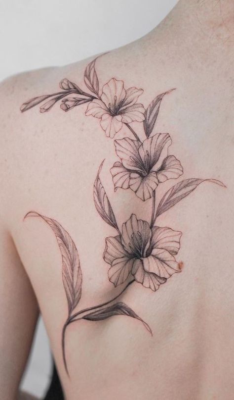 Side Torso Flower Tattoo, Gladiolus Flower Back Tattoo, Hedychium Coronarium Tattoo, Gladiolus Tattoo Men, Single Gladiolus Flower Tattoo, Gladiolas Tattoo Black, Gladiolus Vine Tattoo, Gladius Tattoo Flower, Gladiolus Flower Outline