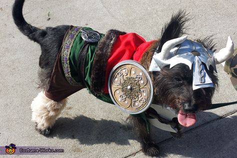 Murdock as Leif Eriksson the Viking - Halloween Costume Contest via @costume_works Vet Costume, Vikings Costume Diy, Viking Halloween Costume, Vikings Halloween, Pet Parade, Homemade Costume, Viking Costume, Costume Works, Halloween Costume Contest