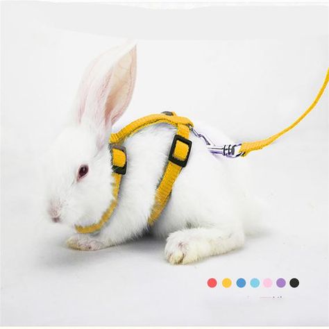 Hey, I found this really awesome Etsy listing at https://www.etsy.com/ca/listing/739732621/small-pet-rabbit-harness-leash-soft Rabbit Harness, Walking Harness, Dog Poop Bag Holder, Pet Guinea Pigs, Lead Rope, Pet Pigs, Pet Rabbit, Dogs Pooping, Small Pet