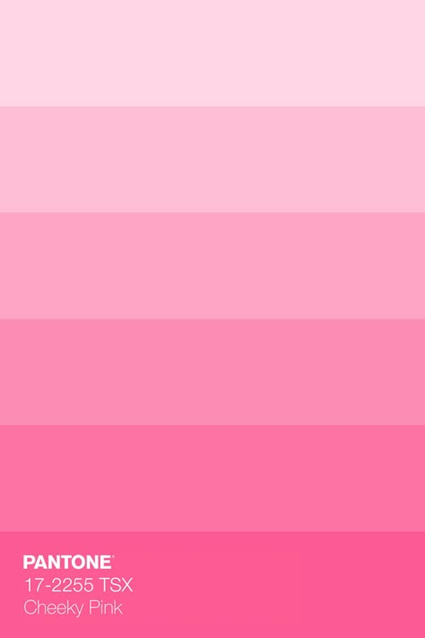 Colour Palette Pastel Pink, Bright Pink Color Schemes, The Color Pink Aesthetic, Pink Color Palette Pantone, Pantone Pink Bright, Pink Swatches Colour Palettes, Pink Hues Colour Palettes, Monochromatic Pink Color Palette, All Pastel Colors