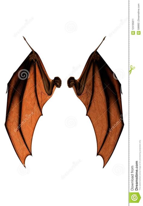 Fairy With Bat Wings, Bat Wings Folded, Folded Bat Wings Reference, Bat Wing Drawing Reference, Bat Wings Outline, Bat Wing Anatomy, Bat Wing Reference, Bat Wings Drawing Reference, Person With Bat Wings