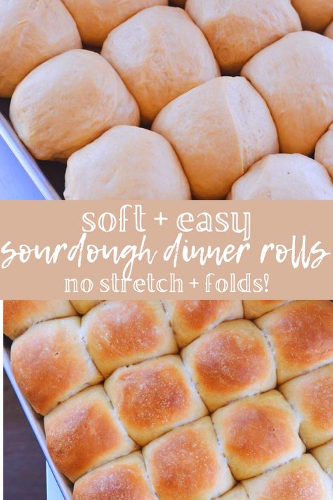 If you're needing an easy sourdough dinner rolls recipe to feed a crowd, you need this recipe! They are the softest buttery dinner rolls. A great beginner sourdough bread recipe that makes two dozen rolls and requires no stretch and folds. Great rolls for sliders, sandwiches, or a side #healthy #sourdough #easysourdoughrecipes #homemadedinnerrolls #healthyrecipes #homemadebread #nokneadbread #healthybread Vegan Sourdough Rolls, Easy Sourdough Dinner Rolls, Sourdough Dinner Rolls With Starter, Sourdough Slider Buns, Quick Sourdough Rolls, Easy Sourdough Rolls, Sourdough Sandwich Rolls, Recipe Using Sourdough Bread, Easy Sourdough Recipes