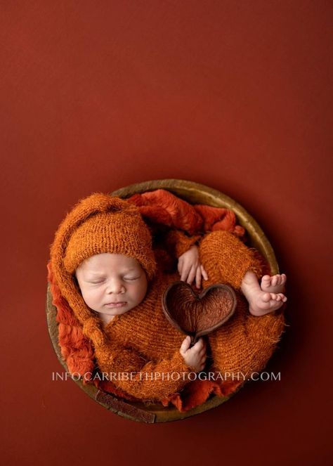 Autumn Newborn, Baby Backdrop, Newborn Baby Photoshoot, Newborn Poses, Newborn Shoot, Newborn Photoshoot, Newborn Pictures, Newborn Photo, Baby Photoshoot